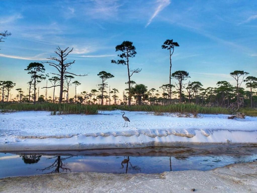 Tortuga Tillys Cape San Blas Exterior photo